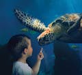 Kind mit Schildkröte