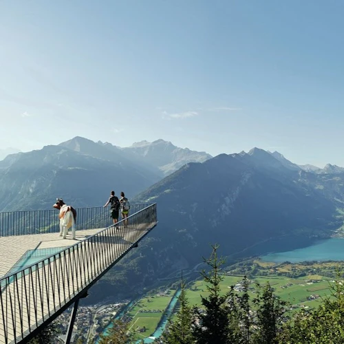 Grindelwald, Interlaken & Lauterbrunnen: Day Trip + Transport - Photo 4