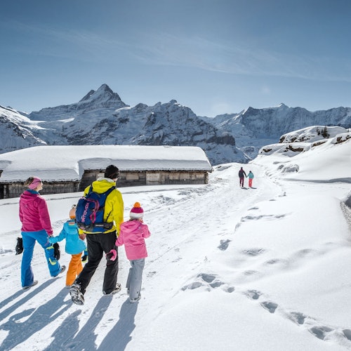 Funicular Ride: Firstbahn on Grindelwald First - Top of Adventure