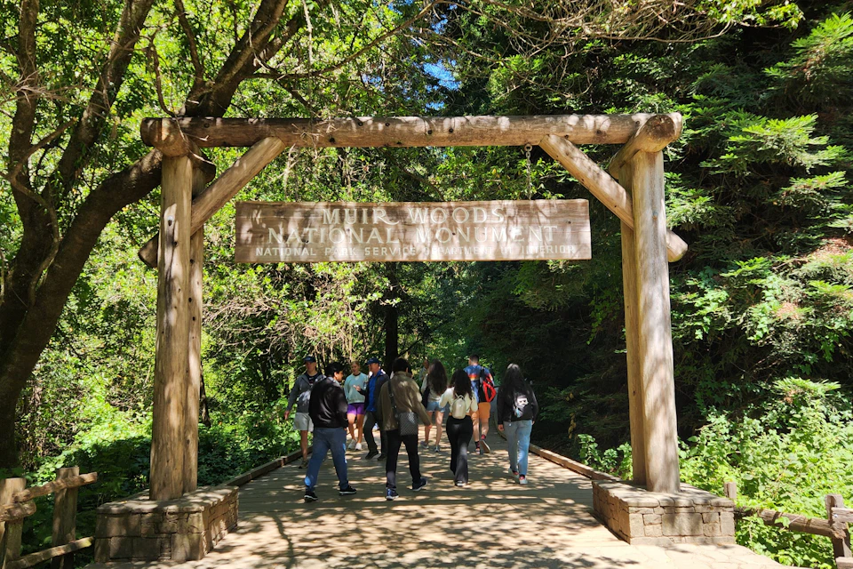 Muir Woods