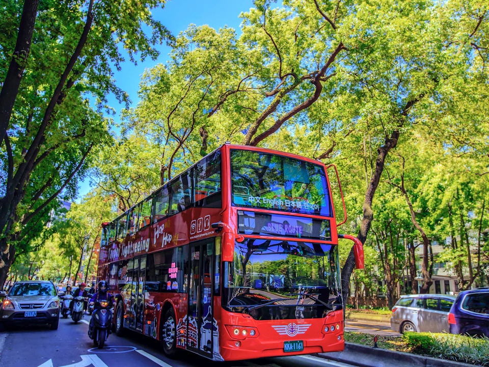A bright red double-decker sightseeing bus driving down a tree-lined street on a sunny day.