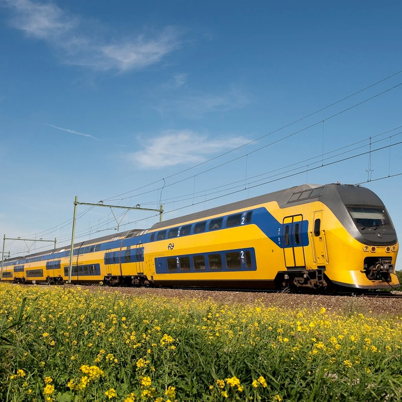 Train Transfer To/From Amsterdam Central and Rotterdam