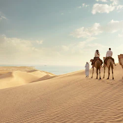 Full Day Desert Safari with BBQ Meal 3