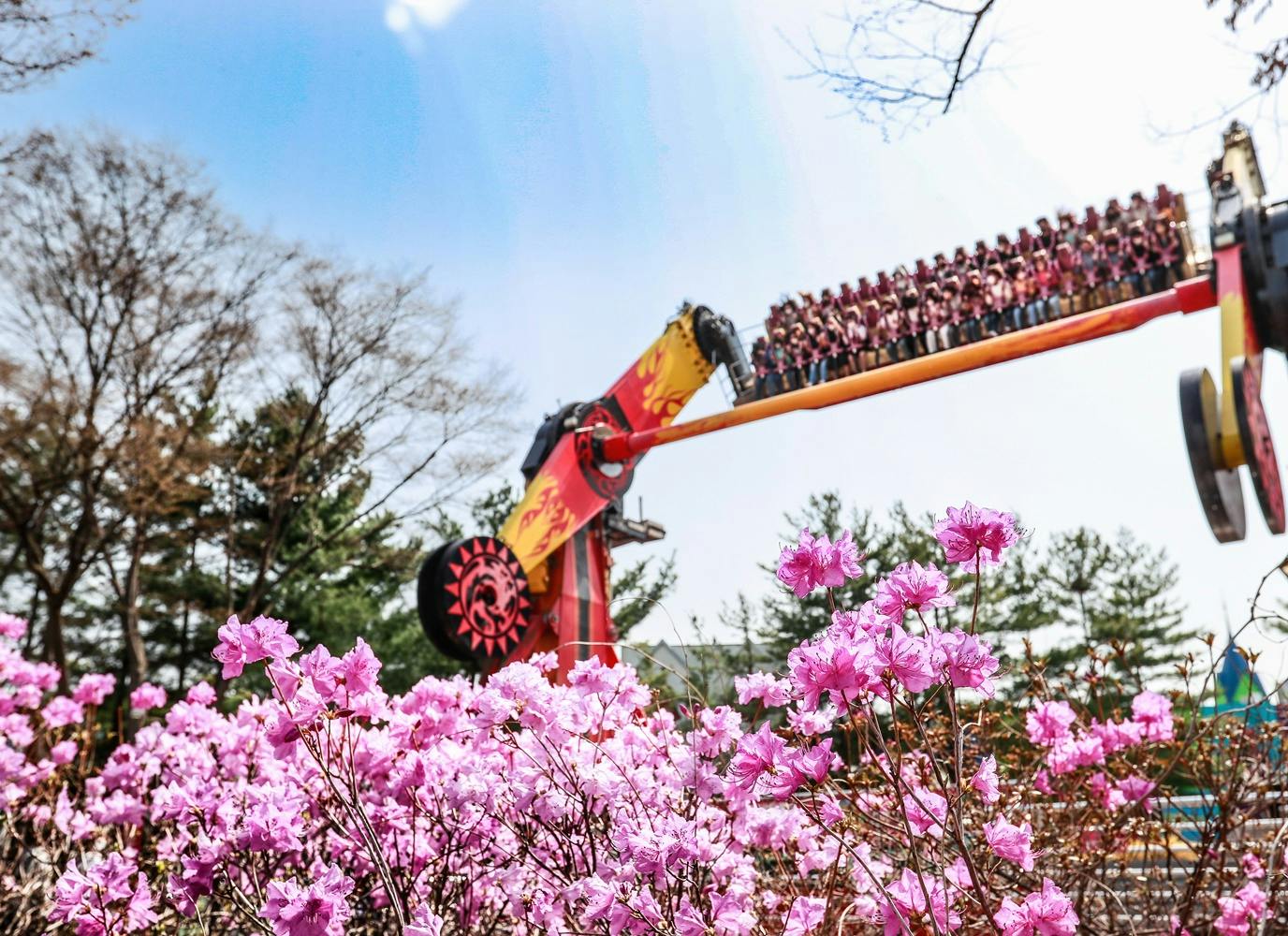 Seoul Land: 1-Day Pass with Sky Lift 3