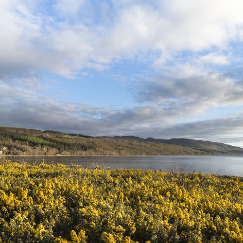 Experiencia completa del Lago Ness: Tour desde Inverness