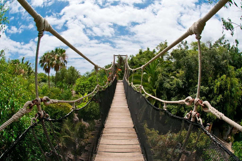 Jungle Park: Entry Ticket