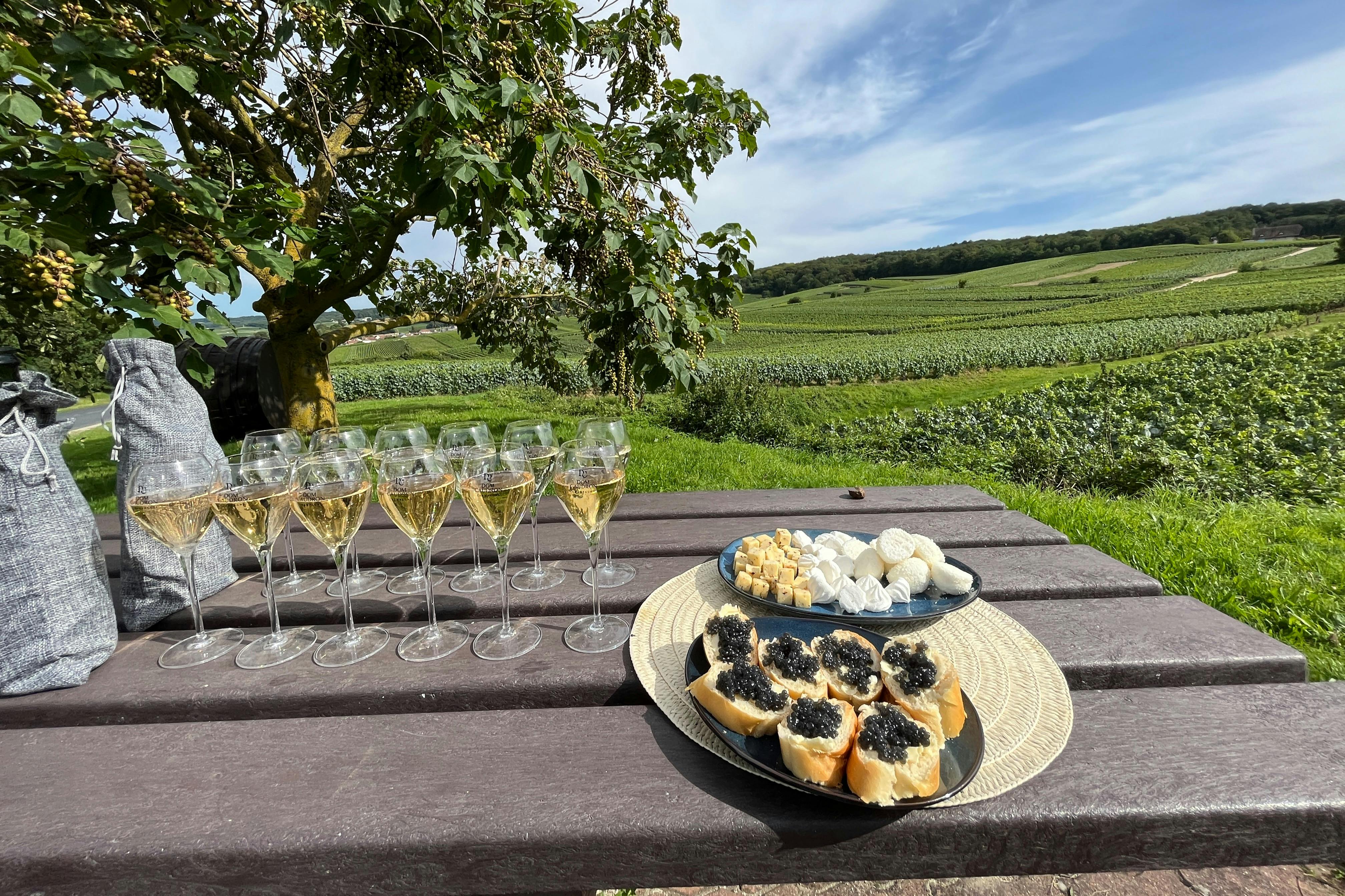 Tasting caviar samples blindly