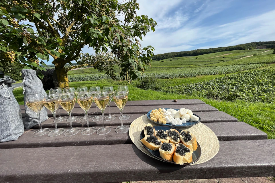 Tasting caviar samples blindly