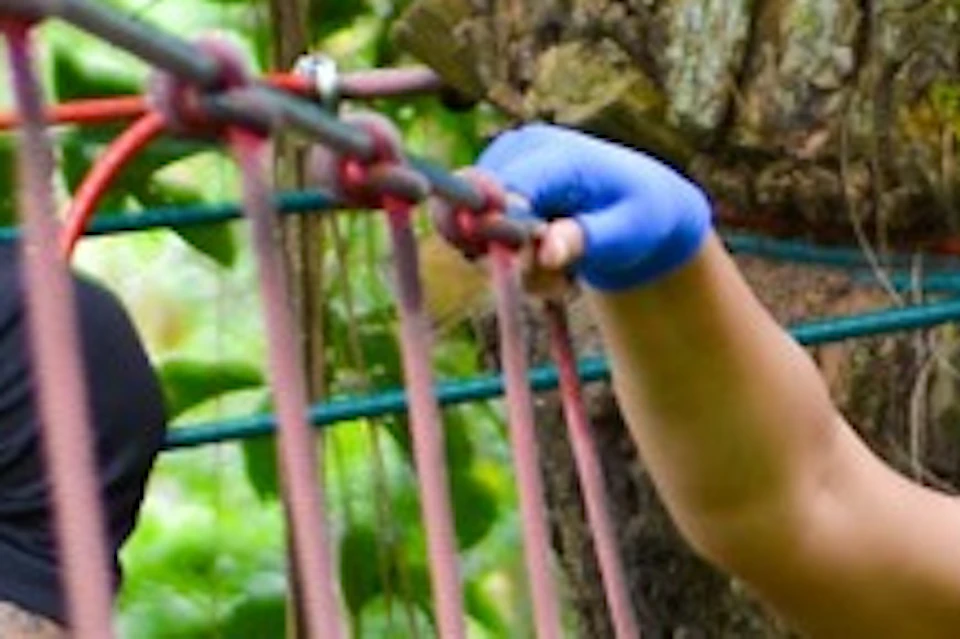 A woman in a helmet and harness crosses a rope bridge between trees in a lush, green forest. Another person assists her.