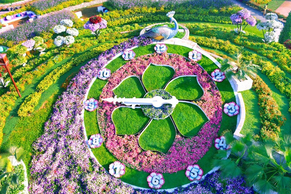 Aerial View of Miracle Garden