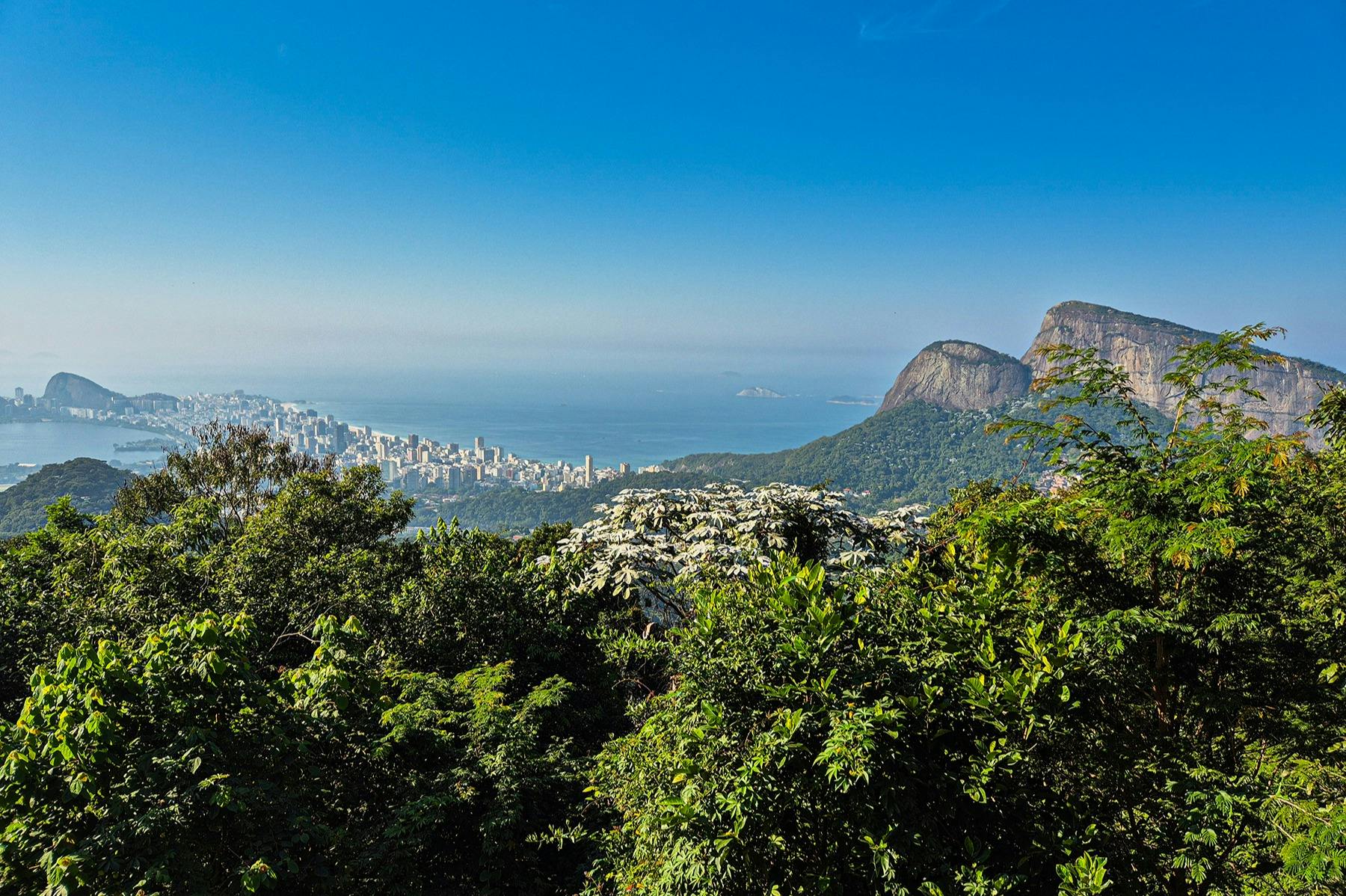 Тропический лес Тижука