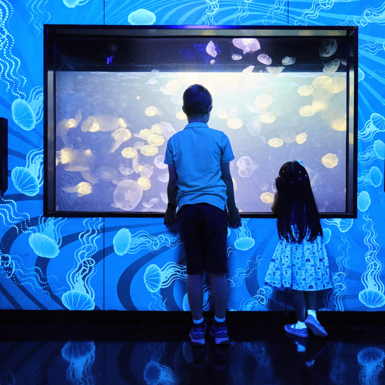 SEA LIFE Melbourne Aquarium: Entry Ticket in Melbourne β Tiqets