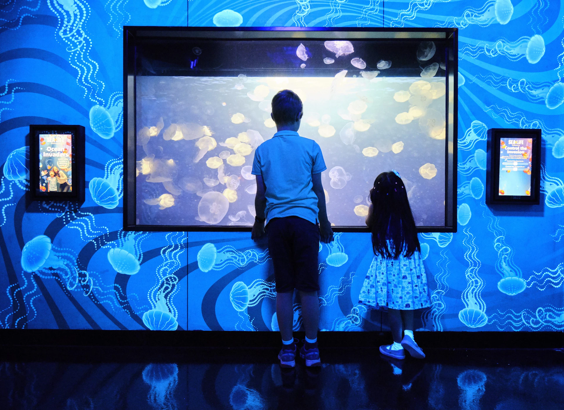 Two children stand in front of an illuminated jellyfish tank, set against a blue, ocean-themed backdrop.