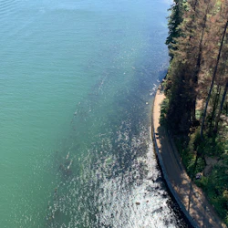 Vancouver: Guided Bike and Hike with Picnic Lunch in destination