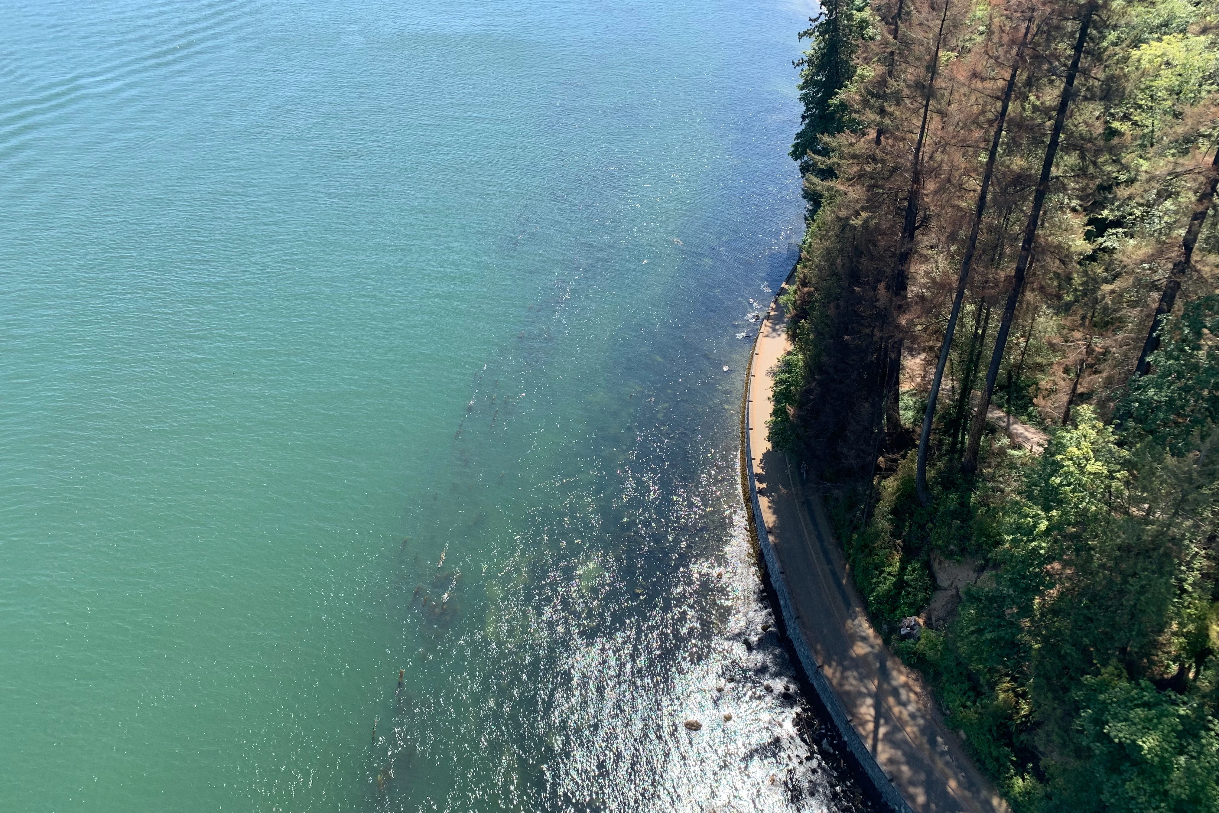 Vancouver: Guided Bike and Hike with Picnic Lunch