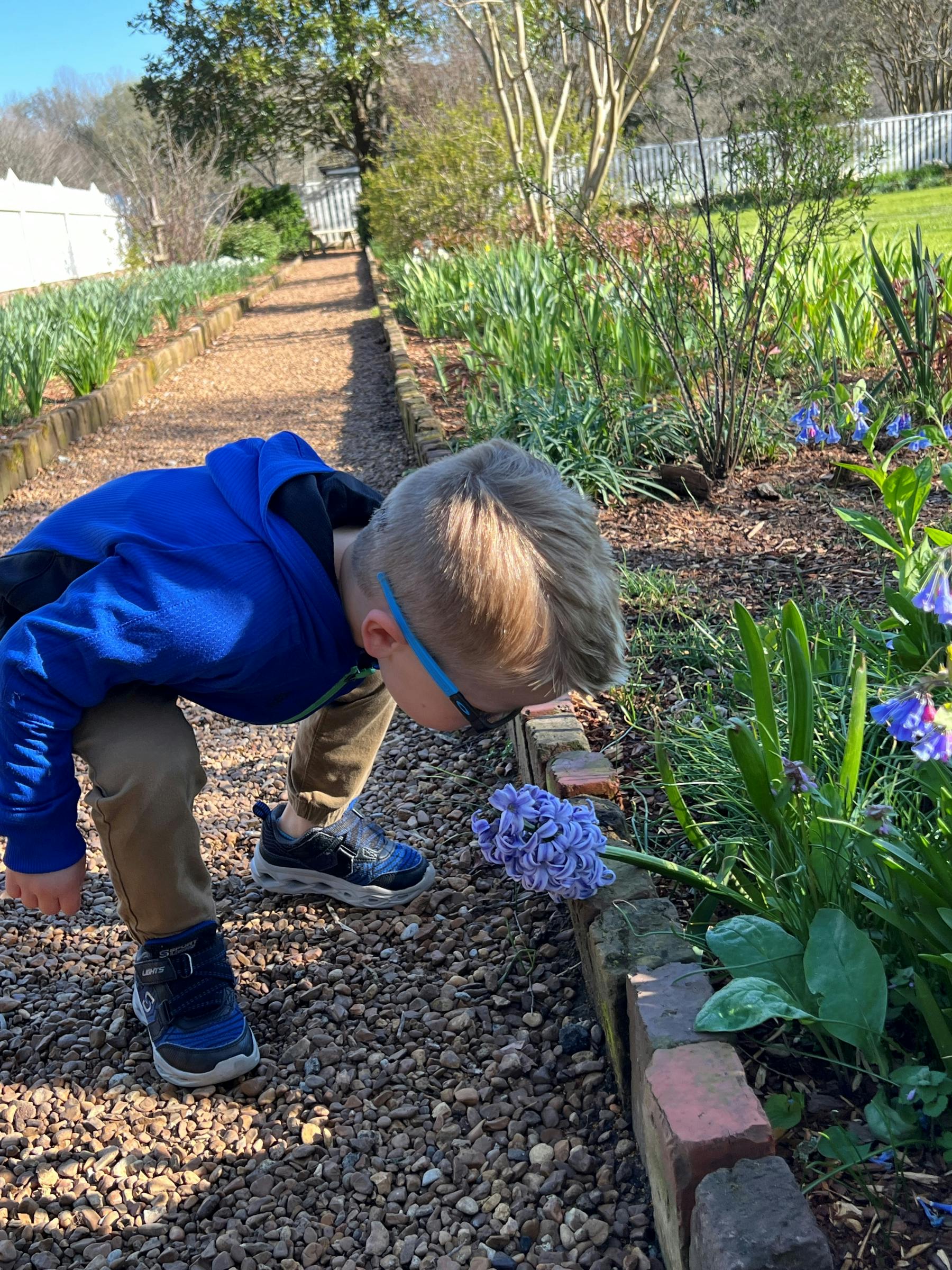 A young boy in a blue hoodie and glasses bends down to smell purple flowers along a garden path on a sunny day.