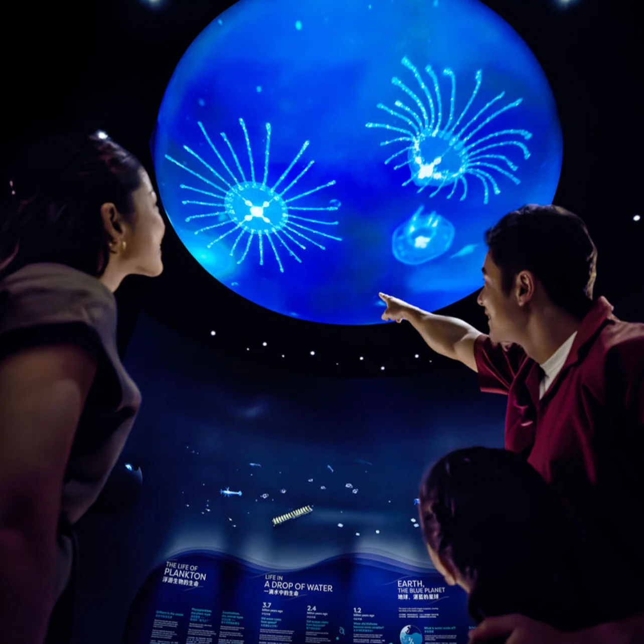 Singapore Oceanarium: Entry Ticket in Singapore β Tiqets