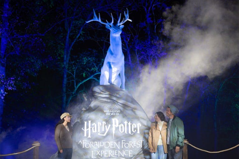 Δύο άνθρωποι στέκονται κοντά σε ένα λαμπερό λευκό άγαλμα ελαφιού με την πινακίδα "Harry Potter: A Forbidden Forest Experience" μέσα στην ομίχλη και τα δέντρα.