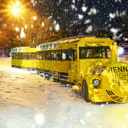 Vienna: Christmas Express Ticket