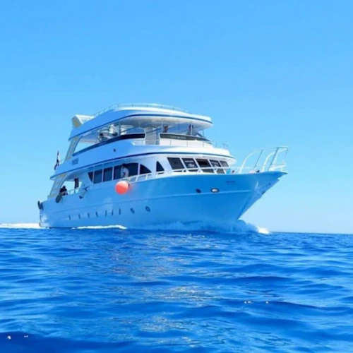 Hurghada: Guided Scuba Diving + Transfers + Lunch - Photo 3