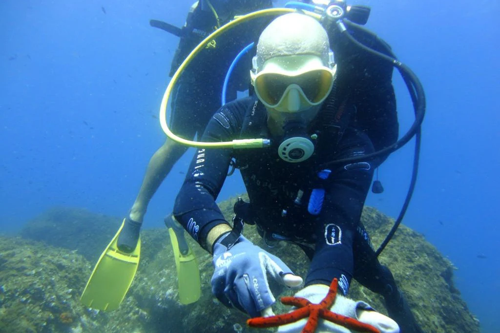 Cyclopean Isles: Scuba Diving Experience