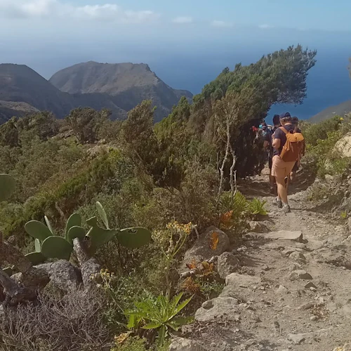 Parque Rural de Anaga: Guided Hiking Tour from Cruz del Carmen + Food Tasting - Photo 5