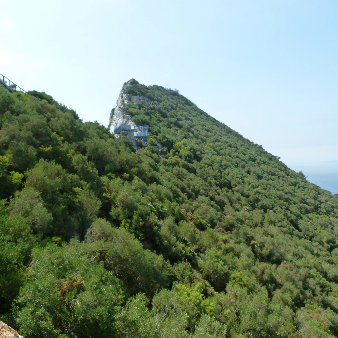 From Málaga: Day Trip to Gibraltar