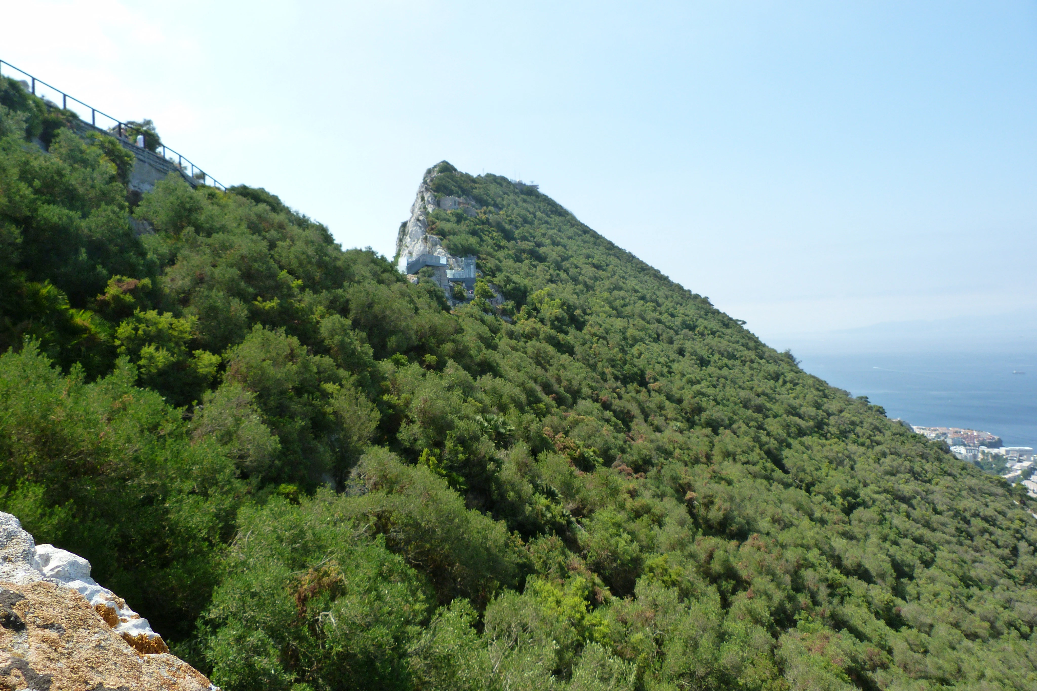 From Málaga: Day Trip to Gibraltar