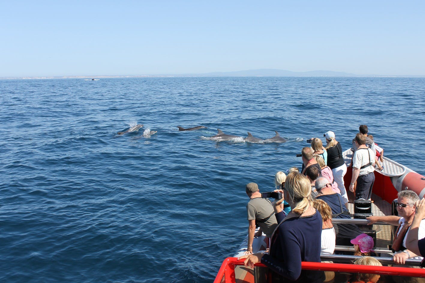 Tornado with Dolphins