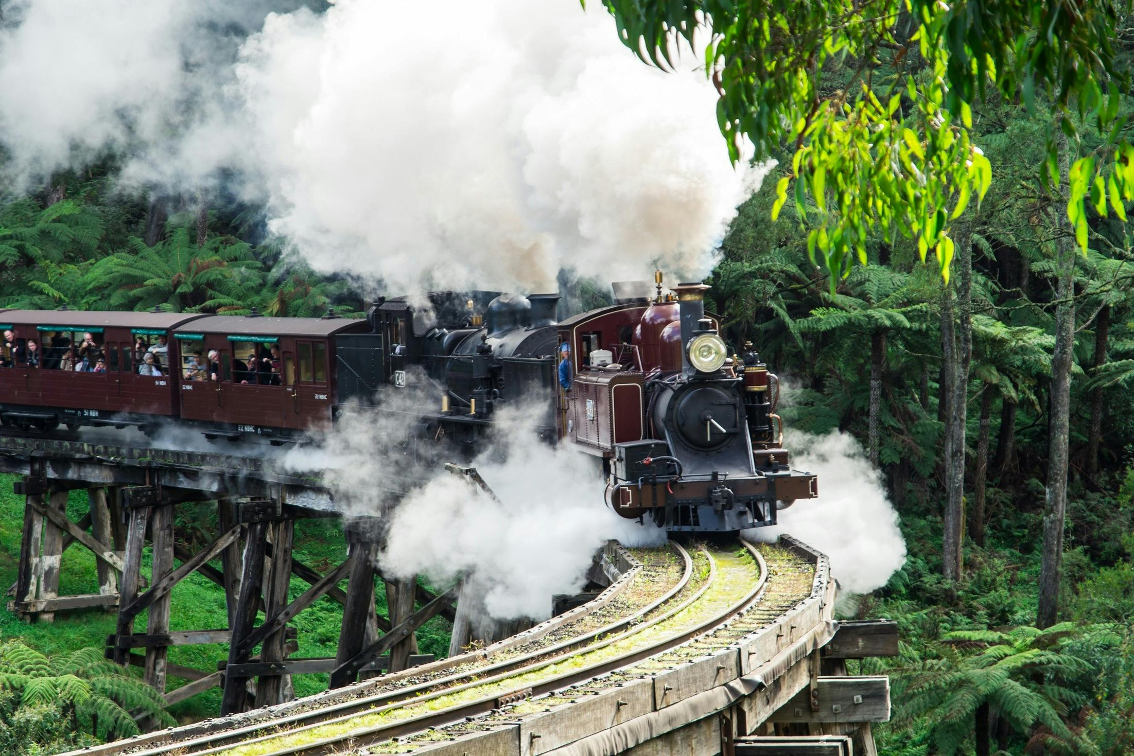 Puffing Billy Steam Train