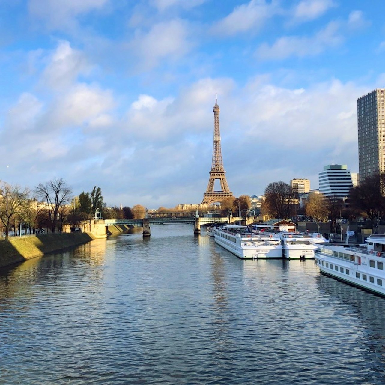 Torre Eiffel: Acceso Prioritario a la Segunda Planta y Cumbre Opcional - Alojamientos en Paris