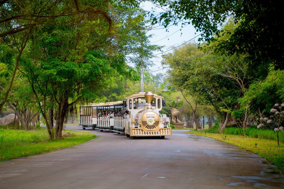A white tourist train with open carriages travels along a tree-lined path in a park setting.
