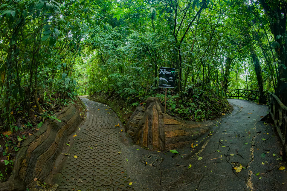Path