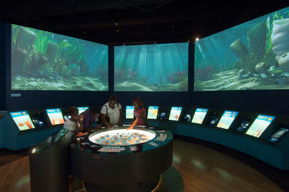 People interact with exhibits in a dimly-lit museum room featuring underwater scenes displayed on large screens and smaller informational panels.