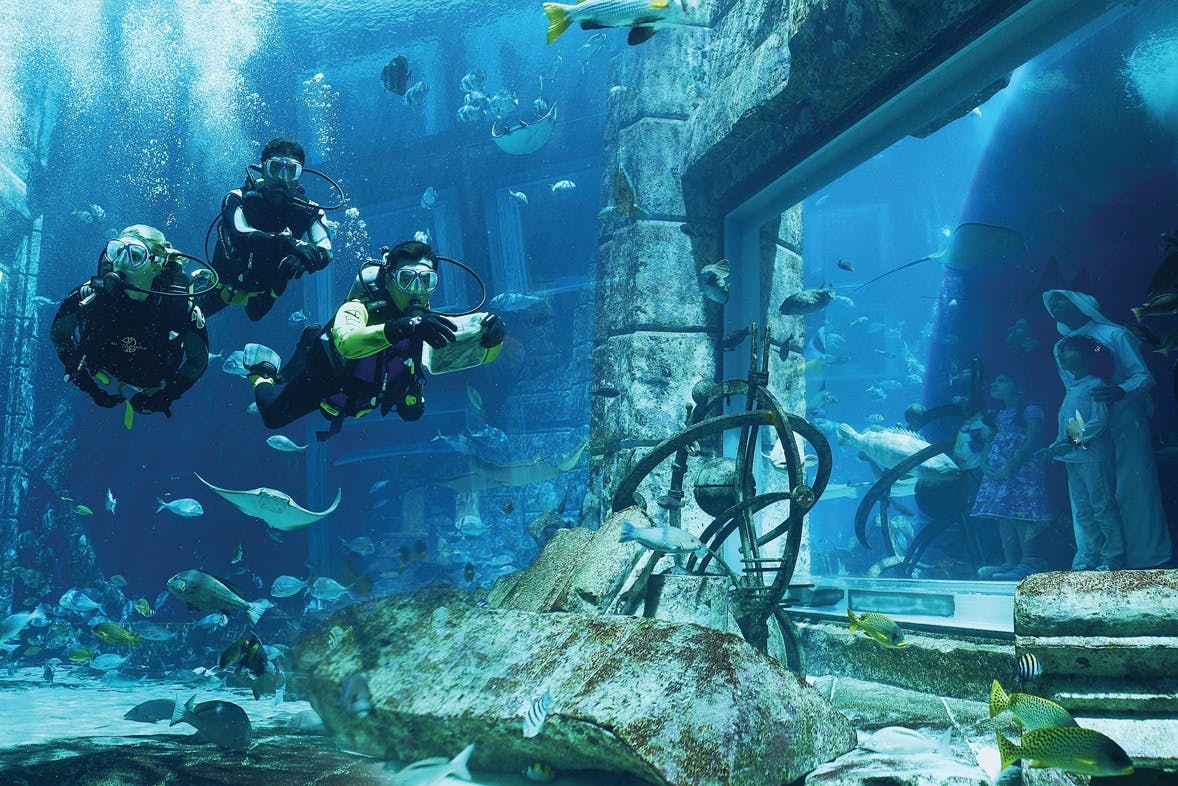 Hoteller i nærheden af Atlantis The Palm - Dive Discovery