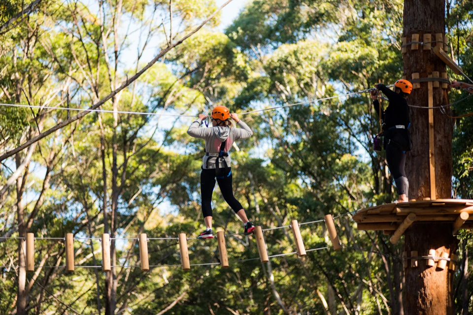 Ropes Bridge