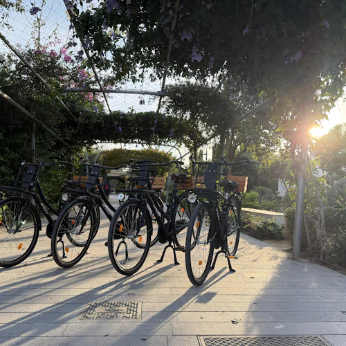 Valencia: Dutch-Style "Omafiets" City Bike Rental from Russafa Area - Photo 3