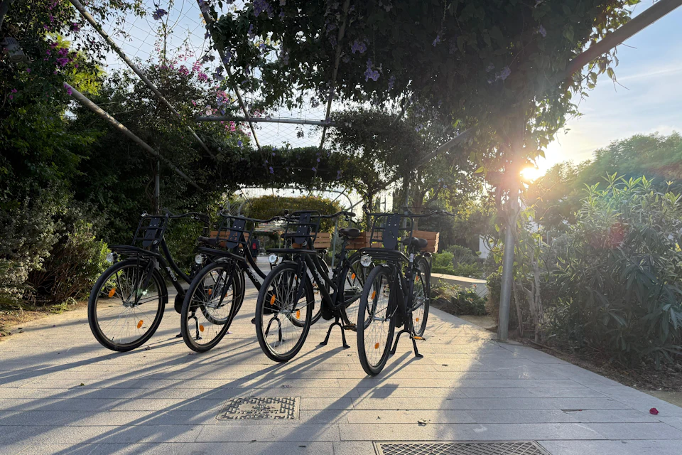 The supplier's classic bike features a chain guard, integrated lights, and a rear basket, perfect for exploring the city's hi
