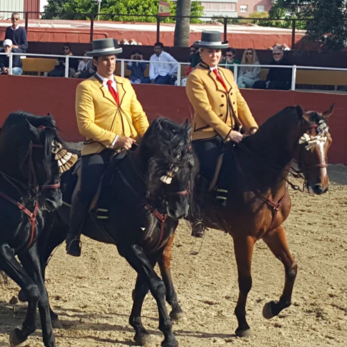 Las Lagunas de Mijas: Espetáculo equestre noturno + Transfer do hotel - Photo 2
