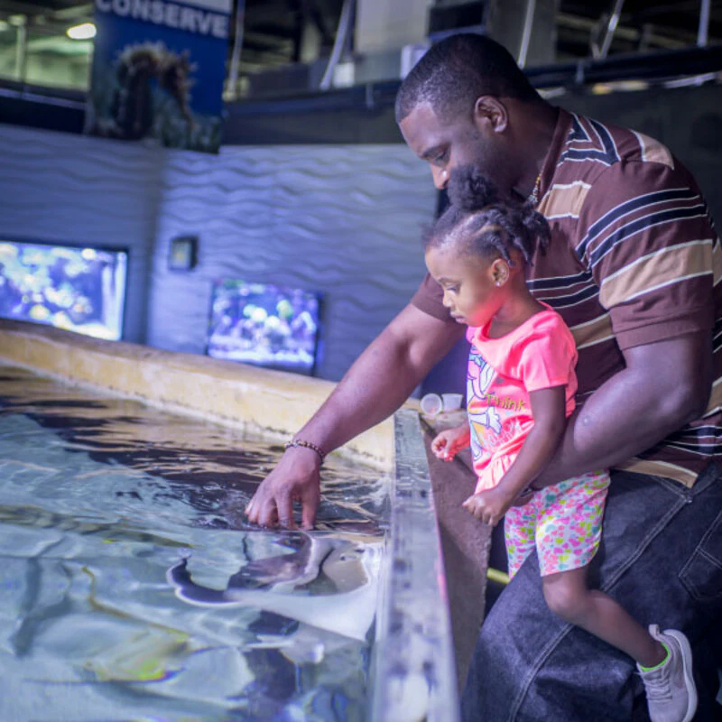 San Antonio Aquarium: bilhete de entrada