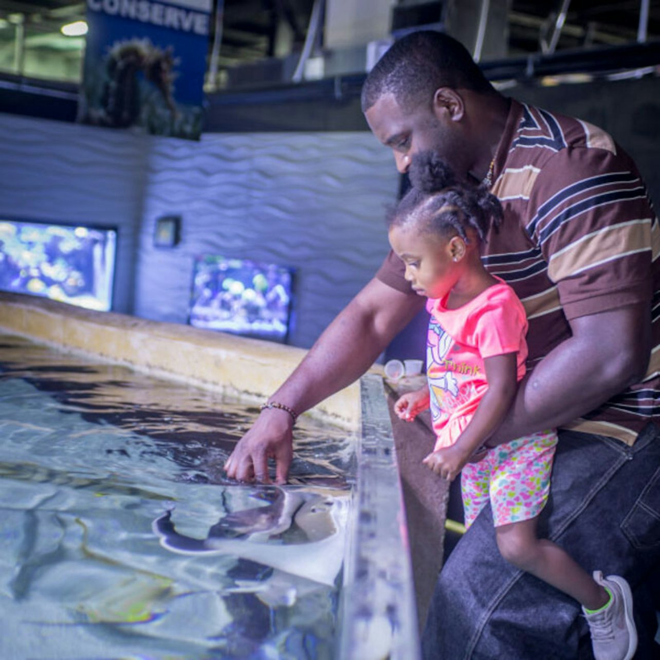San Antonio Aquarium - Accommodations in San Antonio