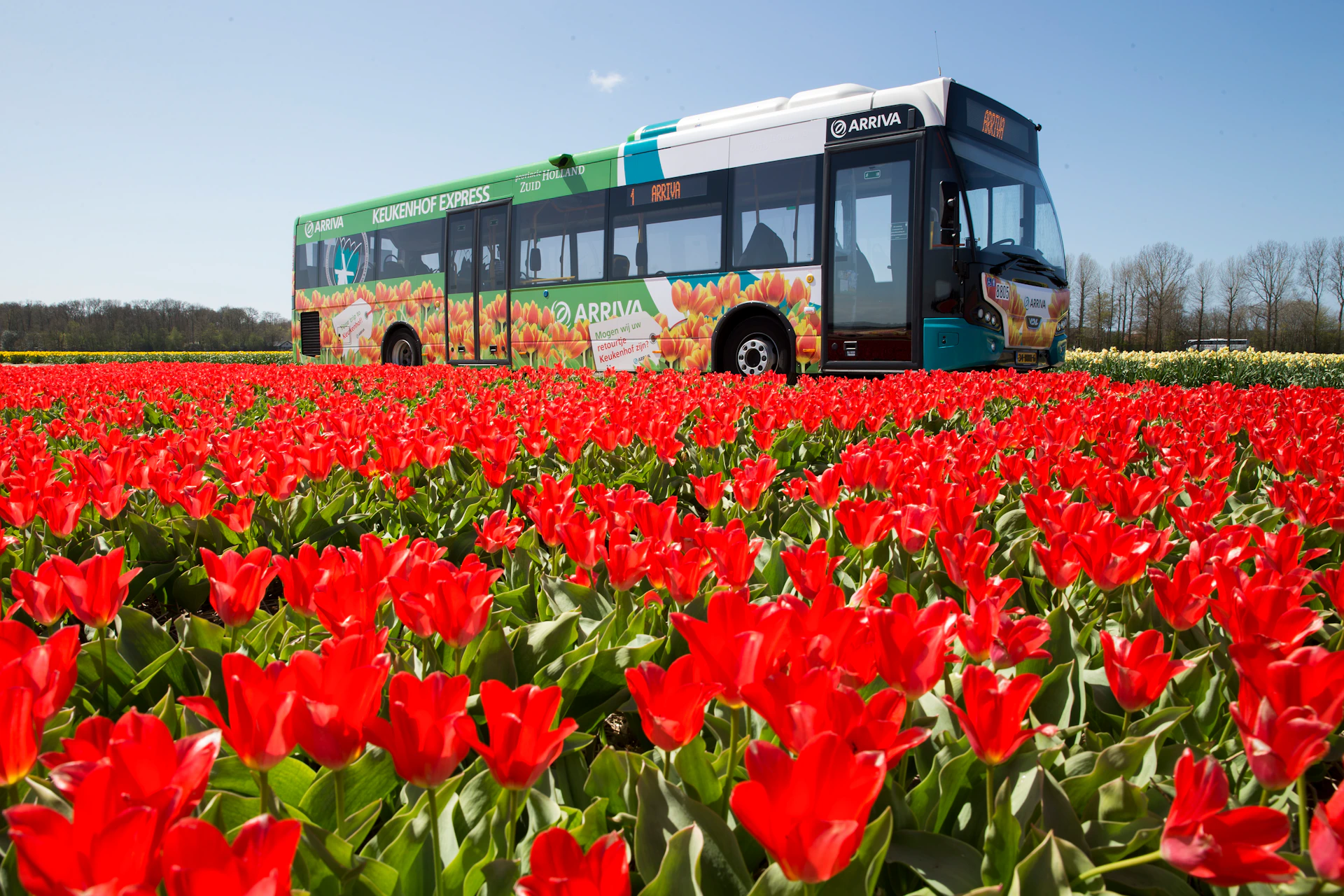A bus on its way to Keukenhof, included in the Amsterdam Travel Ticket