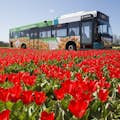 A bus on its way to Keukenhof, included in the Amsterdam Travel Ticket