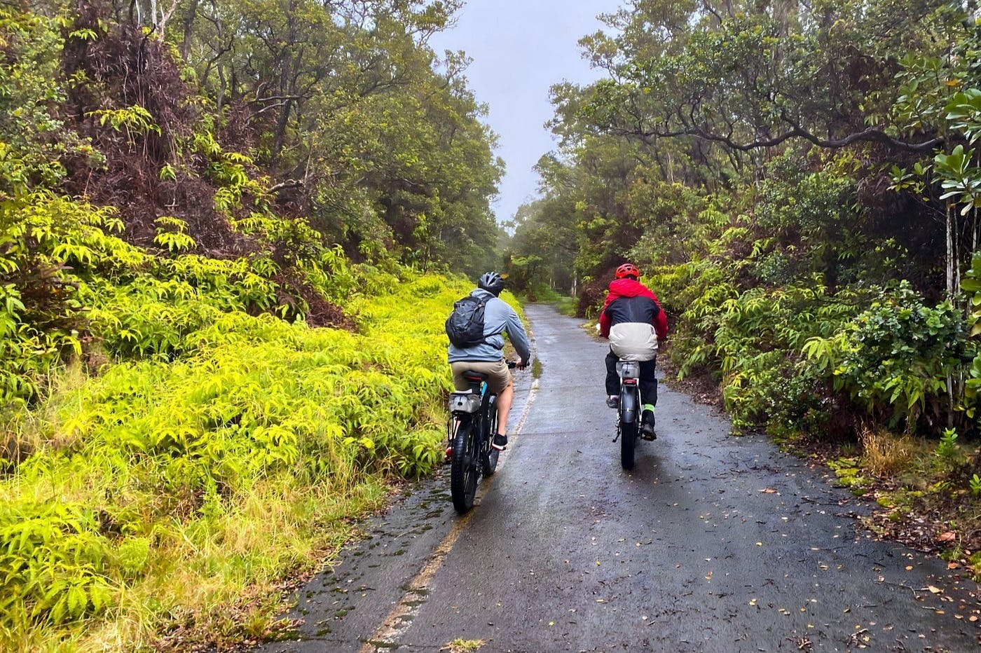Deux cyclistes roulent sur un chemin étroit et humide dans une forêt verdoyante.