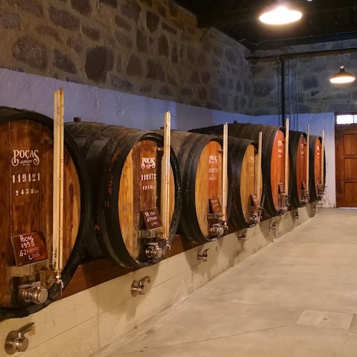 Caves Poças: Guided Tour & Wine Tasting of 3 Port Wines