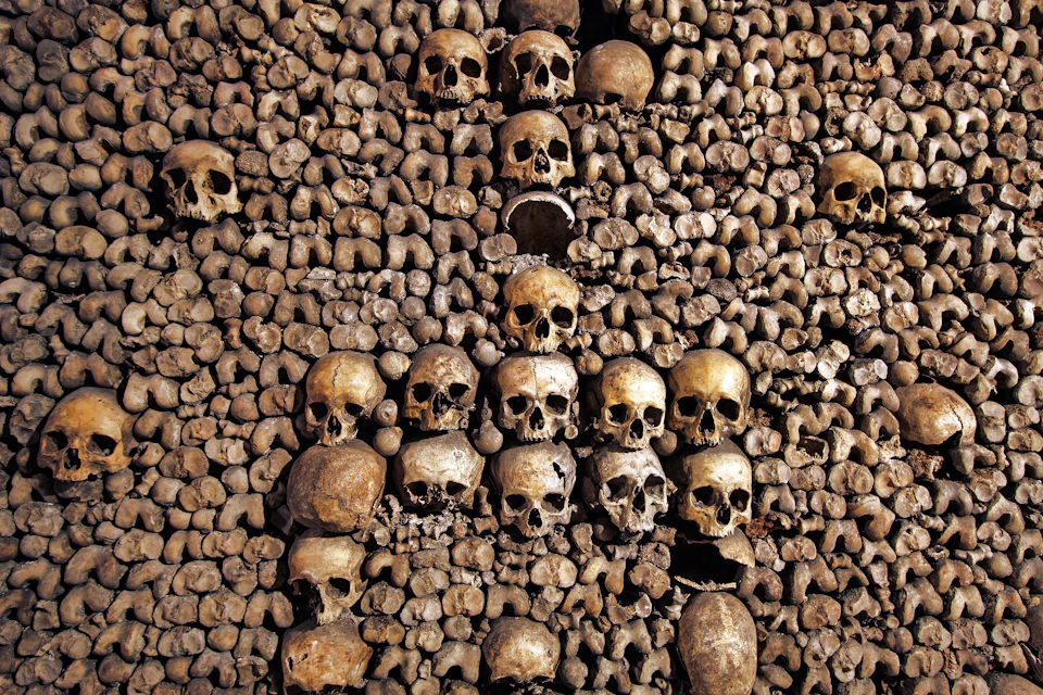 A wall constructed of human skulls and bones tightly stacked together, arranged in an organized pattern.