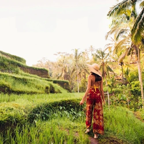 Ubud: Private Guided Tour + Transport