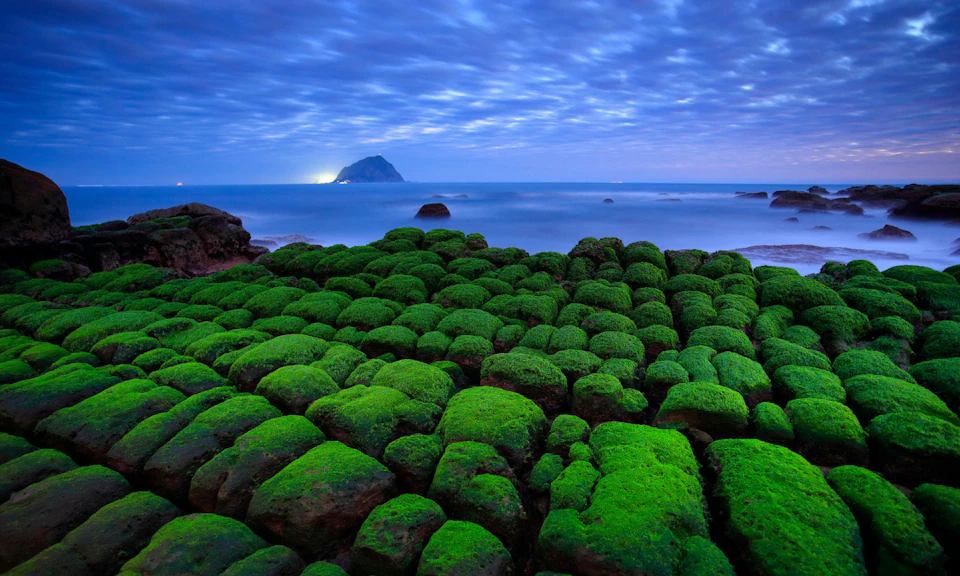 A coastal scene with moss-covered rocks in the foreground, calm sea, and a distant island under a cloudy sky at dusk.