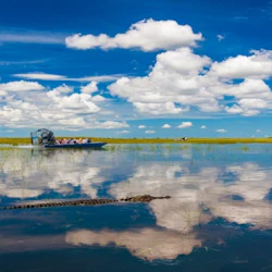 Miami: Everglades Safari Park Express Tour + Airboat Ride 2