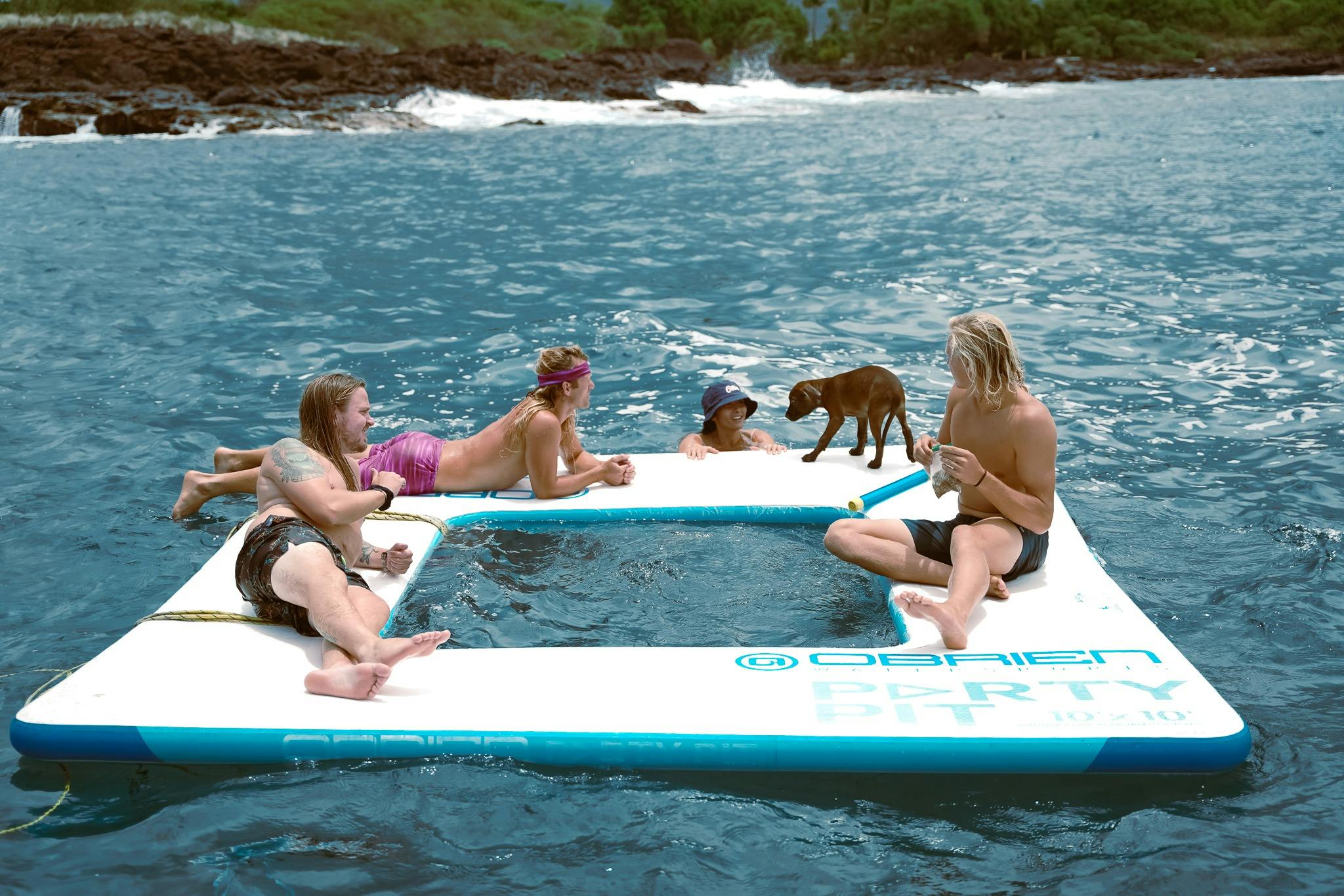 Baía de Kealakekua: Safári marítimo com mergulho com snorkel e observação de golfinhos e baleias